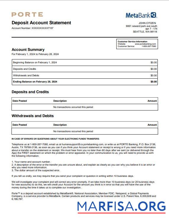 Realistic USA Meta bank statement word example